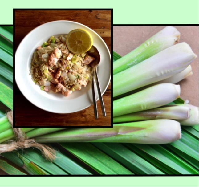 Asian Salmon Bowl USC Leiden